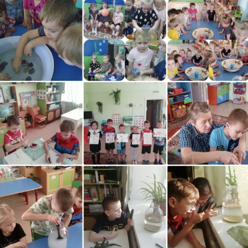 Неделя Науки Неделя Науки.